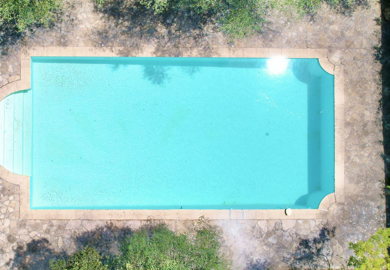 Ferienhaus in Grasse - Le Mas des Oliviers, piscine privée