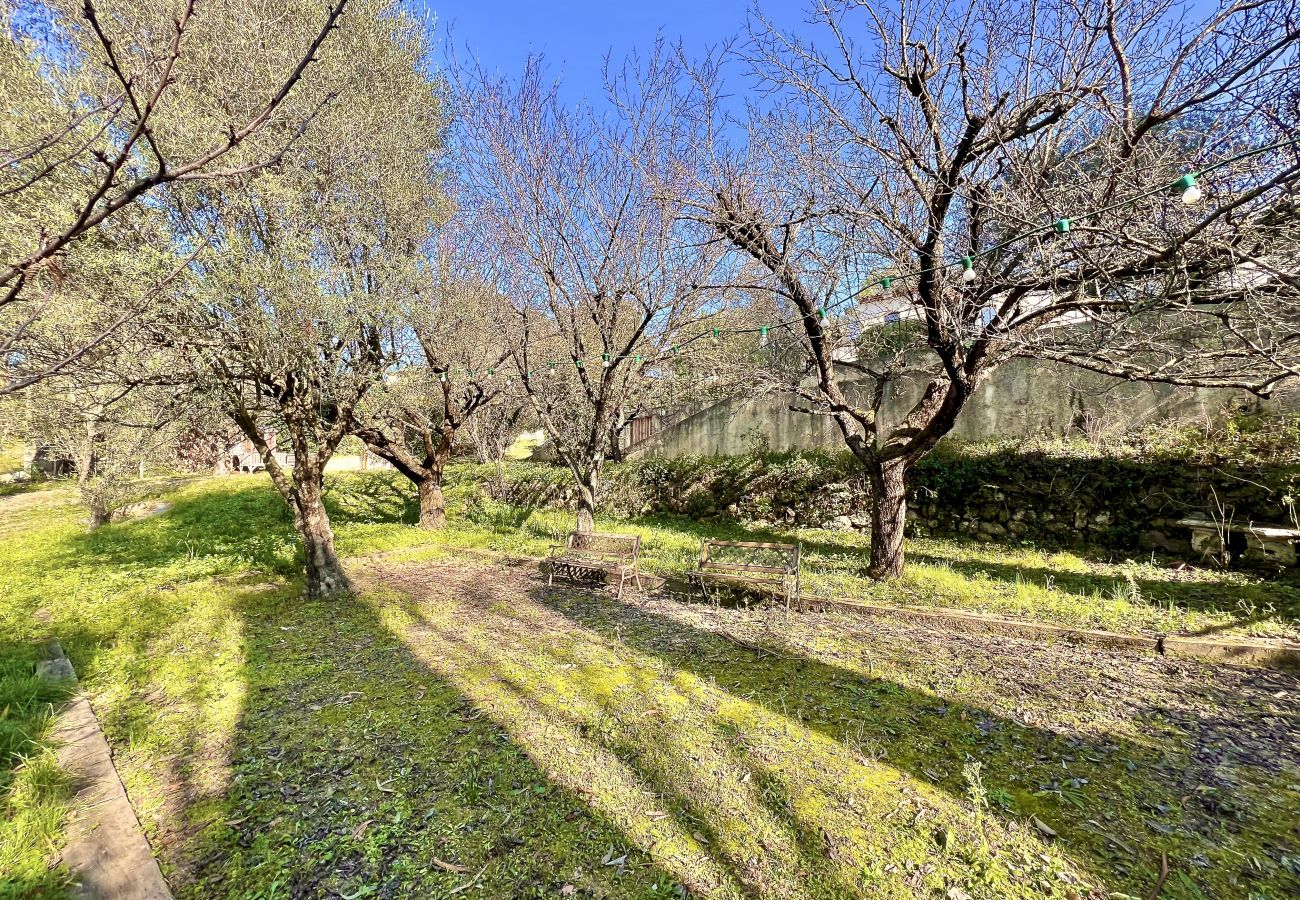 Villa à Grasse - La Villa Ajda, piscine privée